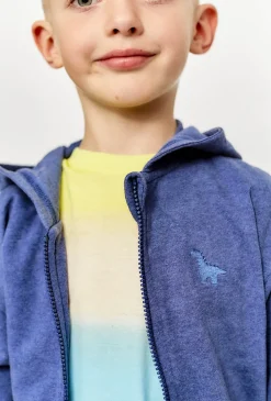Bawełniana bluza dla chłopca - niebieska z dinozaurem