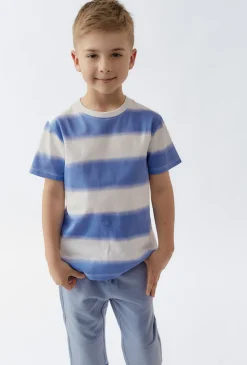 Bawełniany t-shirt chłopięcy w niebieskie paski