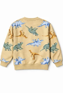 Bluza chłopięca dinozaury