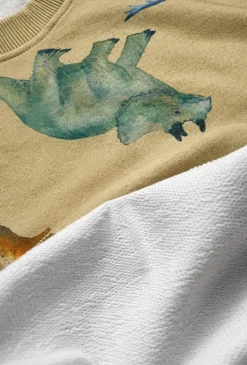 Bluza chłopięca dinozaury