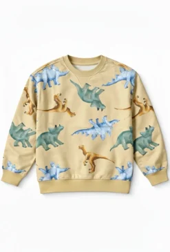 Bluza chłopięca dinozaury