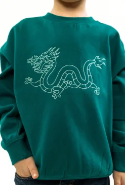 Bluza chłopięca ze smokiem 01F471G-5226