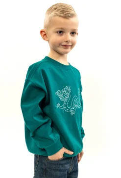 Bluza chłopięca ze smokiem 01F471G-5226