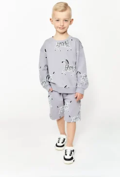 Bluza dresowa dla chłopca - szara w zebry