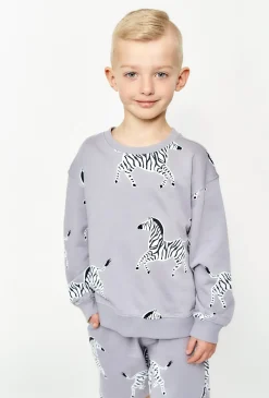 Bluza dresowa dla chłopca - szara w zebry