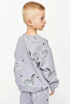 Bluza dresowa dla chłopca - szara w zebry