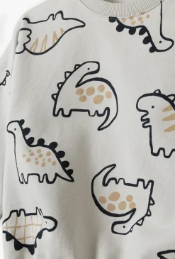 Bluza dresowa - szara w dinozaury - 5.10.15.