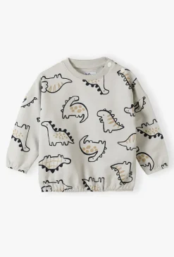 Bluza dresowa - szara w dinozaury - 5.10.15.