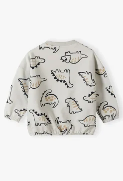 Bluza dresowa - szara w dinozaury - 5.10.15.
