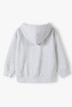 Bluza dresowa z kapturem - rozpinana szara - Limited Edition