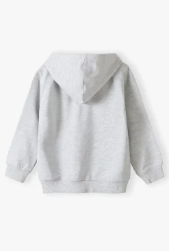 Bluza dresowa z kapturem - szara - basic - Lincoln&Sharks