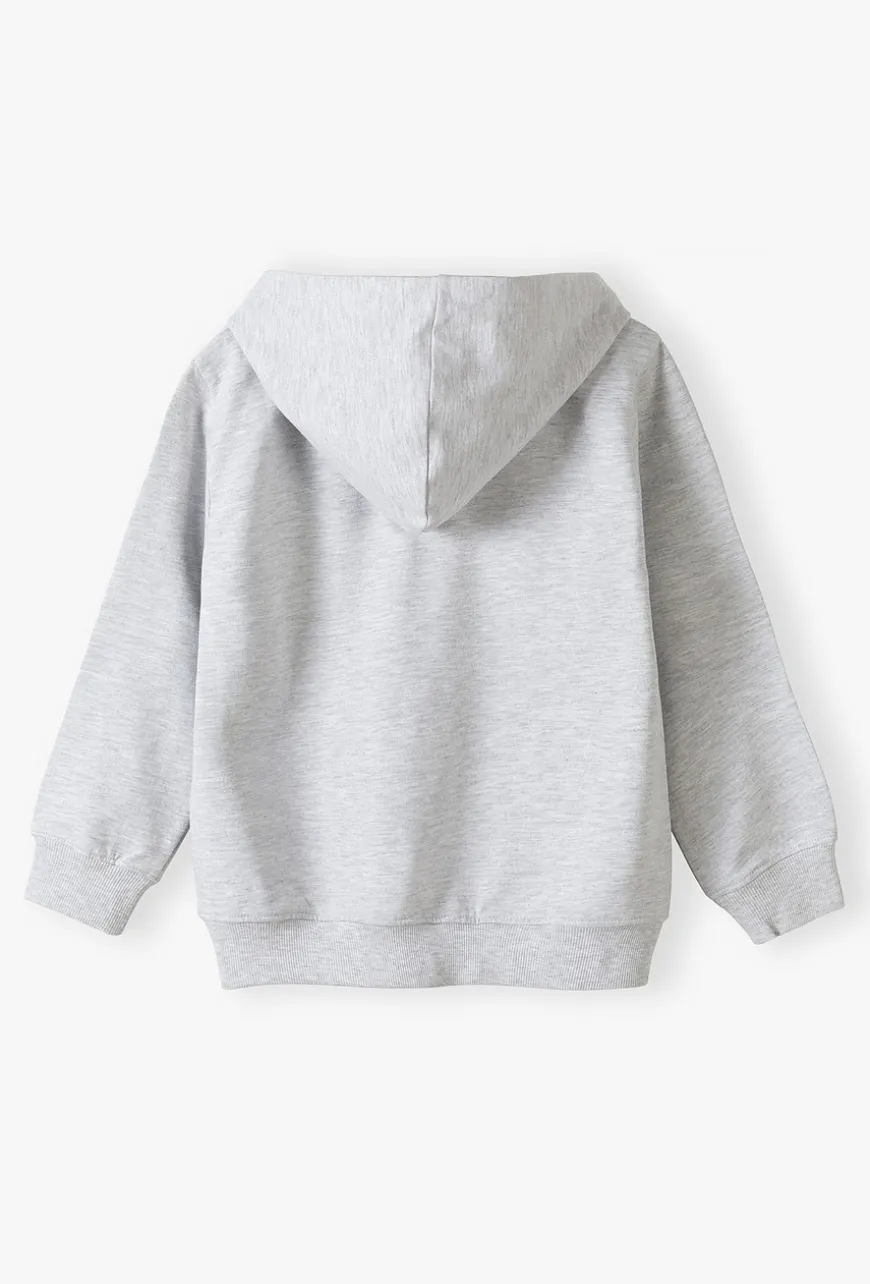 Bluza dresowa z kapturem - szara - basic - Lincoln&Sharks