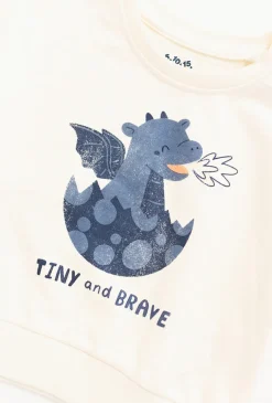 Bluza nierozpinana na stójce