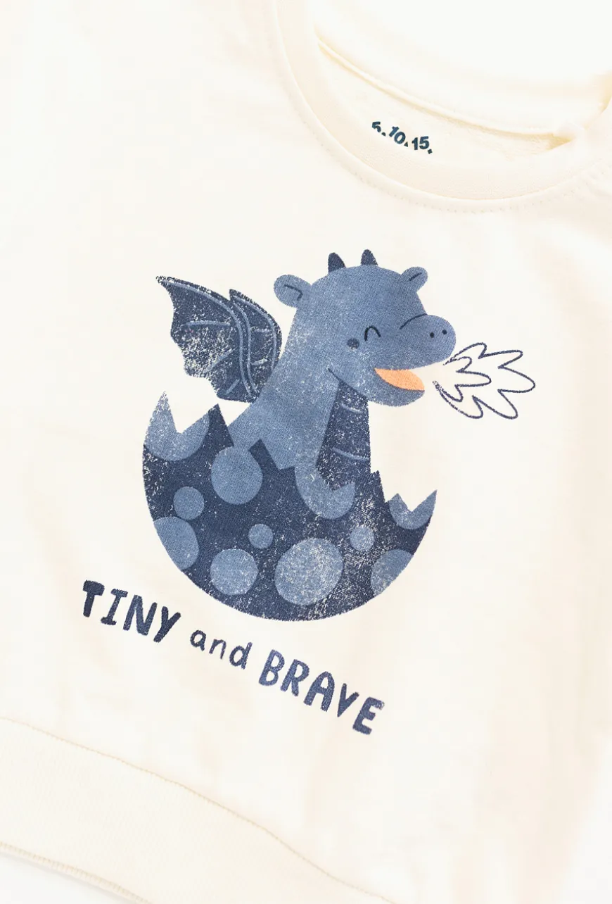 Bluza nierozpinana na stójce