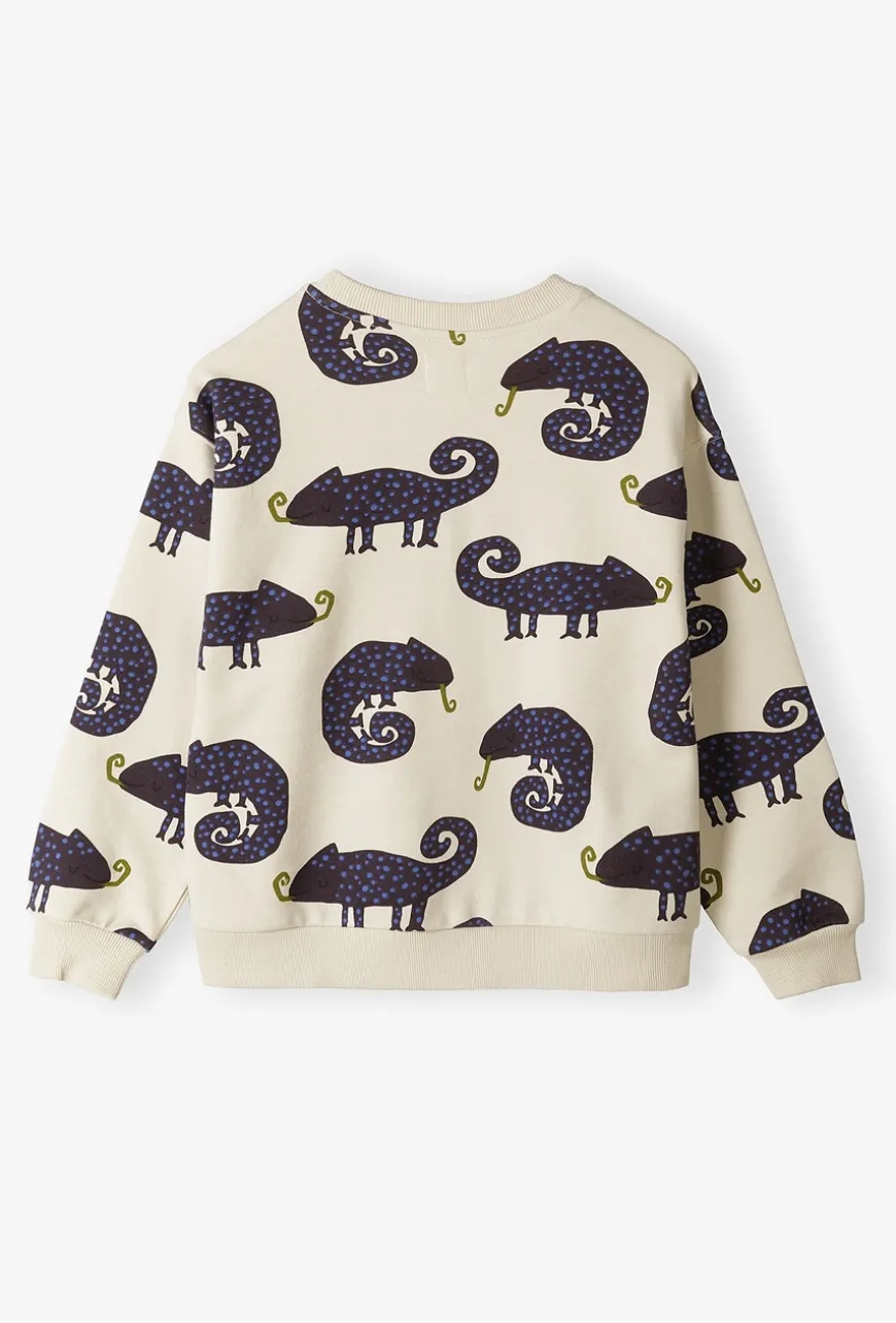 Bluza w kameleony dla małego chłopca - 5.10.15.