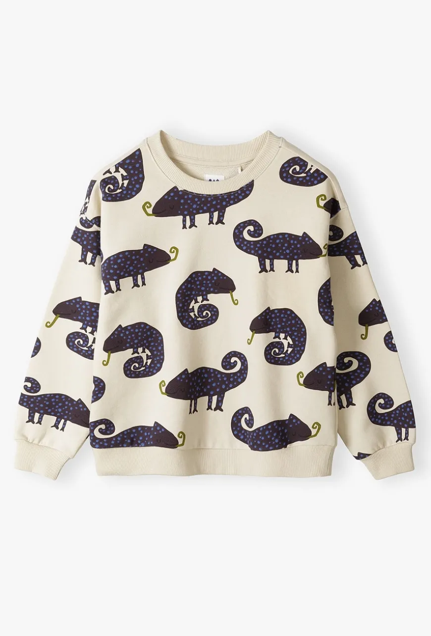 Bluza w kameleony dla małego chłopca - 5.10.15.