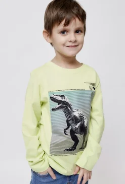 Bluzka chłopięca z długim rękawem Dinozaur 01H4712-0019