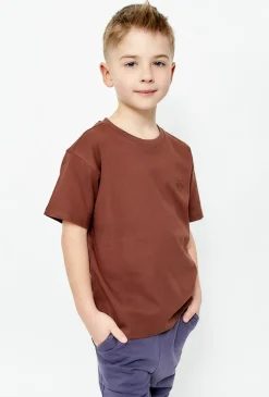 Brązowy t-shirt dla chłopca
