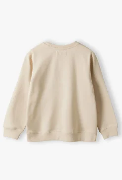 Dzianinowa cienka bluza dresowa dla chłopca - 5.10.15.