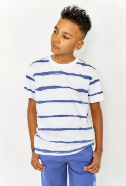 T-shirt chłopięcy biały w niebieskie paski