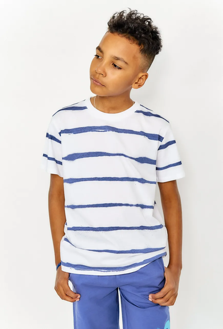T-shirt chłopięcy biały w niebieskie paski