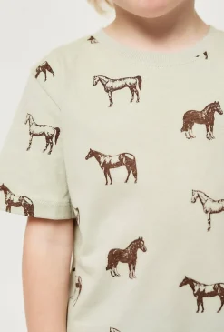 T-shirt chłopięcy 2-pak