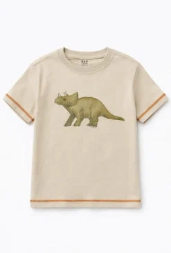 T-shirt chłopięcy z malowanym dinozaurem