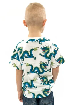 T-shirt dla chłopca- dwupak