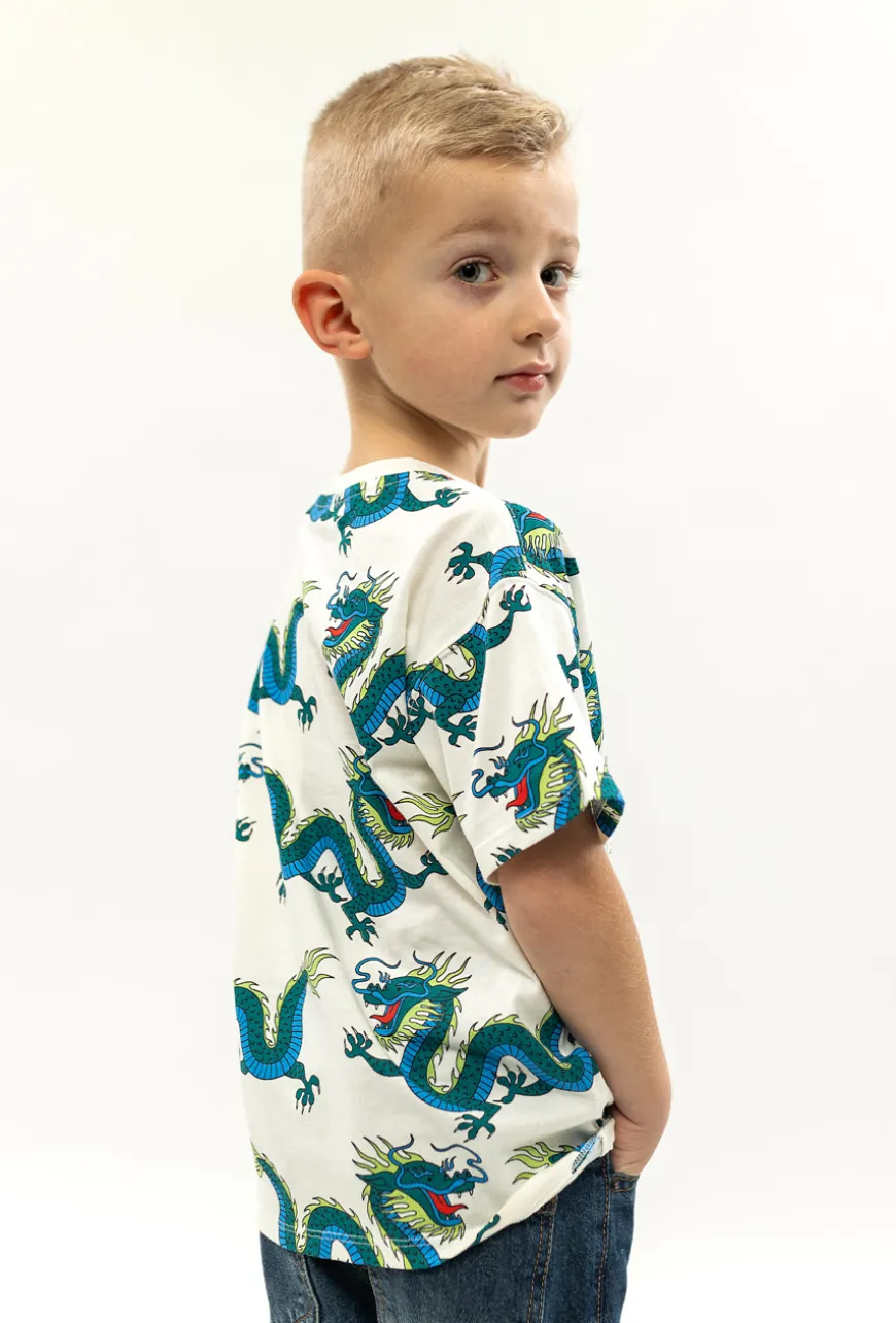 T-shirt dla chłopca- dwupak
